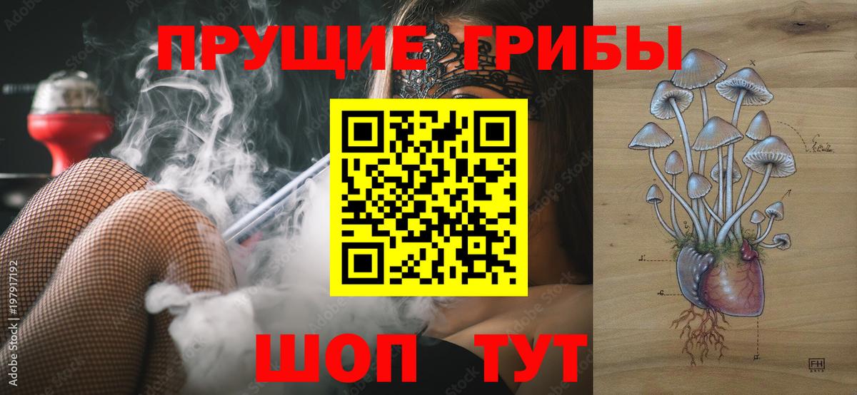 Галлюциногенные грибы мицелий  хочу наркоту  Галлюциногенные грибы Magic Shrooms  Кунгур  Вход с VPN 