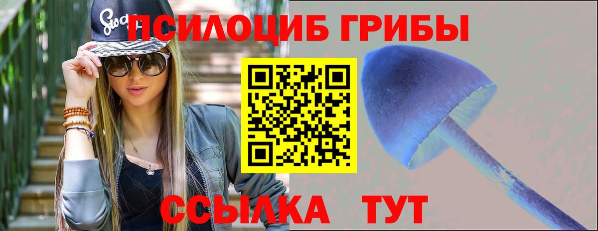 Псилоцибиновые грибы Psilocybe Кунгур